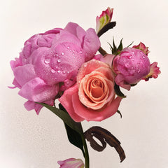 Scent Layering Trio J3