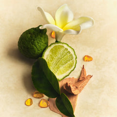 Scent Layering Trio N6